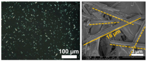 Polarized light microscopy & SEM of MSU crystals
