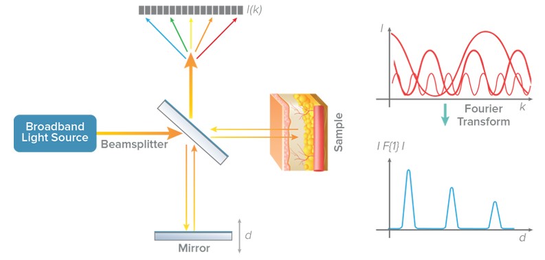 Schematic showing how SD-OCT is used to probe tissue to generate images