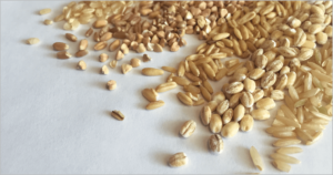 Assorted grains